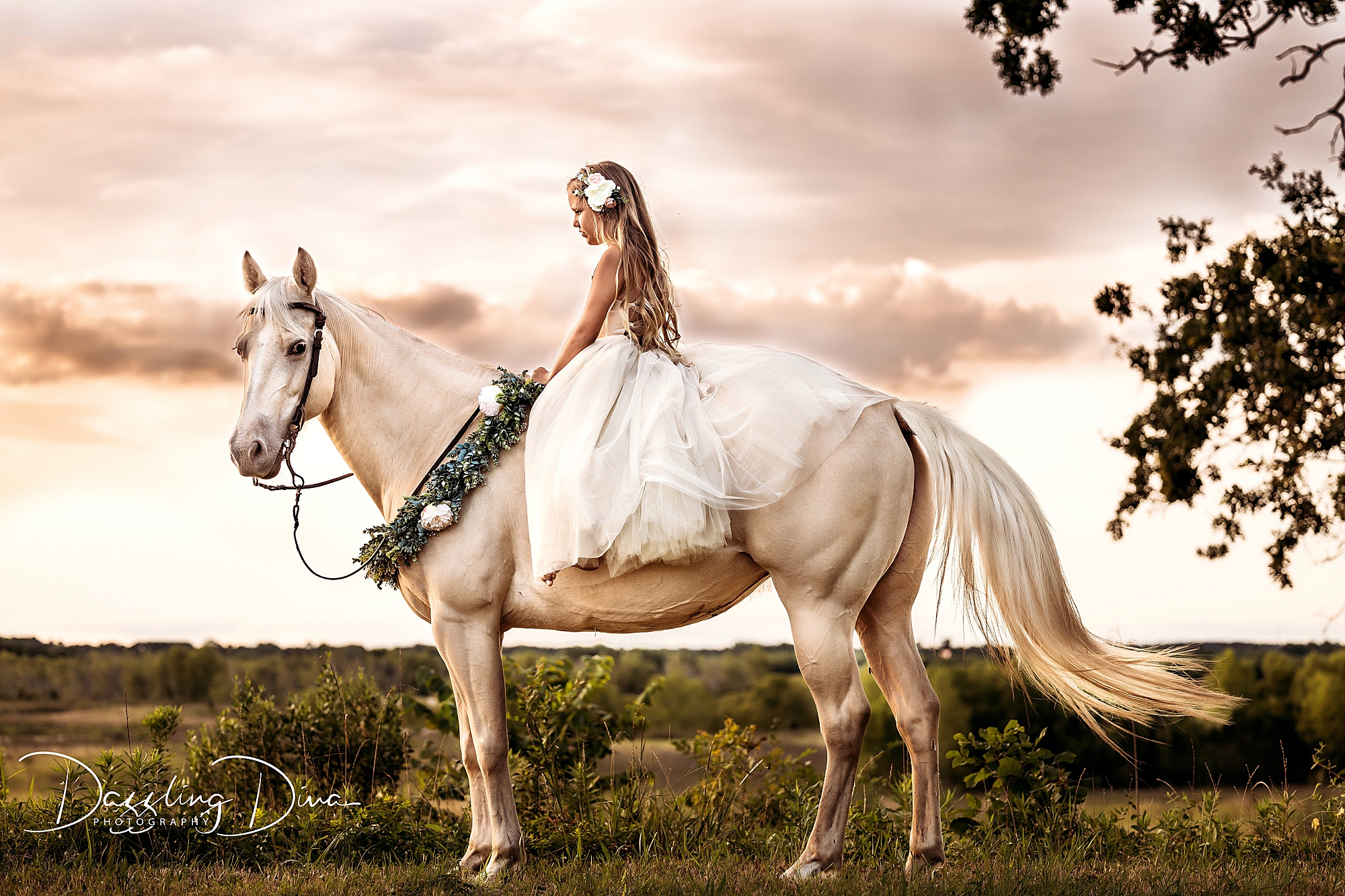 fantasy photography unicorn sessions by Dazzling Diva Photography, Houston, The Woodlands